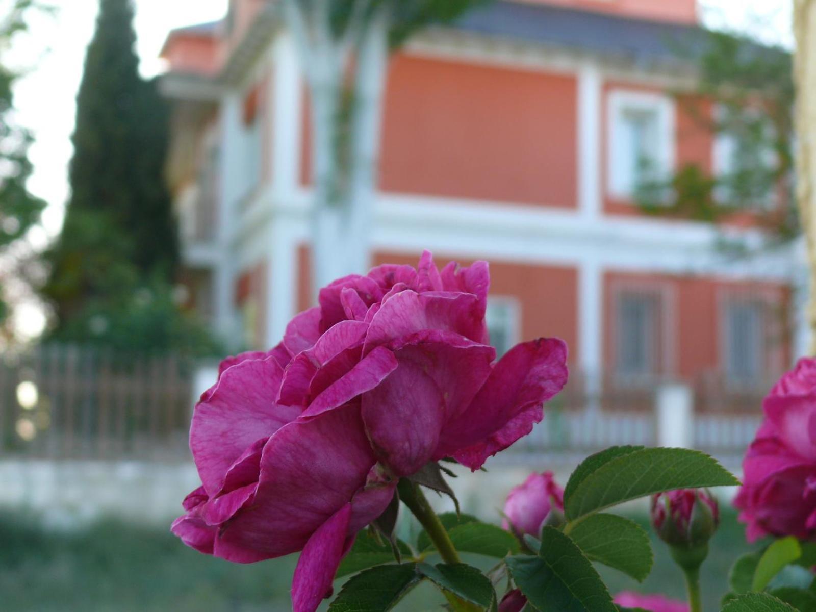 Villa La Casa Grande De Gormaz à Quintanas de Gormaz Extérieur photo